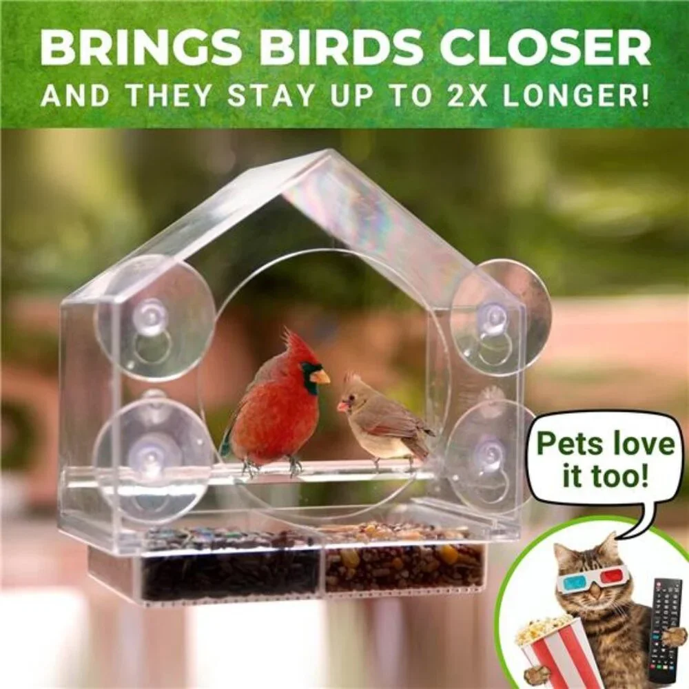 Window Bird Feeder by Nature Anywhere - Transparent Acrylic Bird Feeders